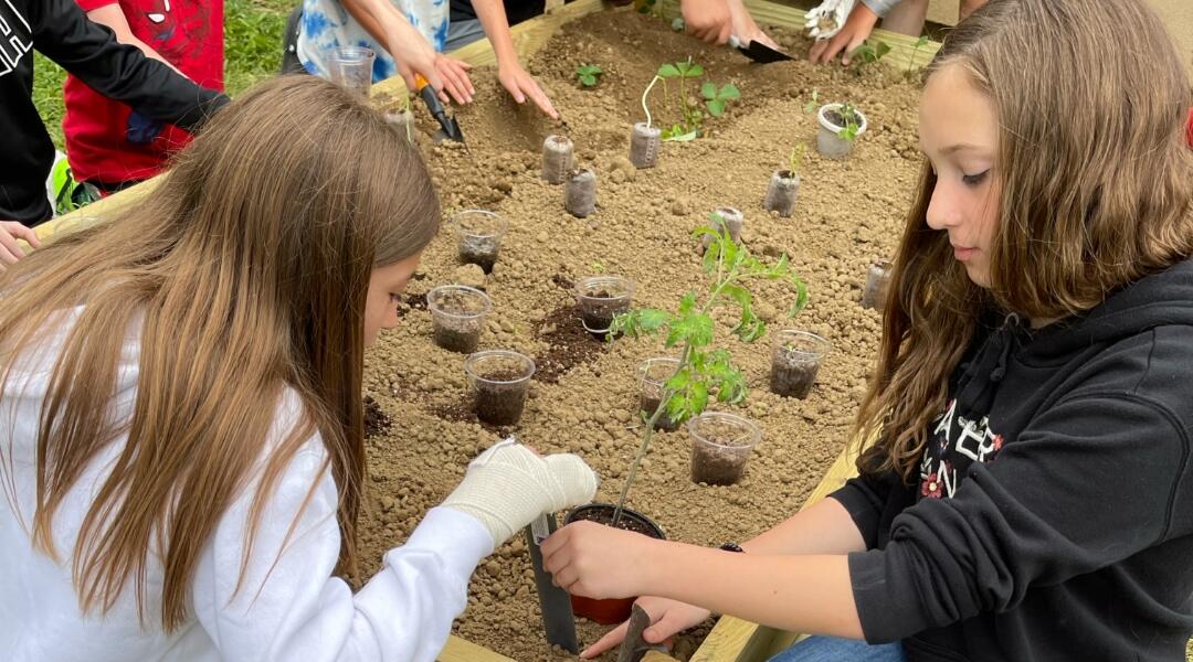 Students planting an outdoor garden